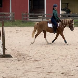 Tailored Sportsman Riding Breeches